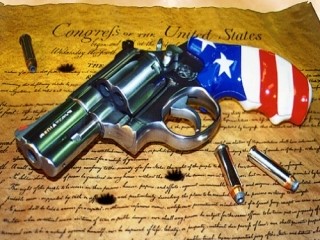 Gun USA